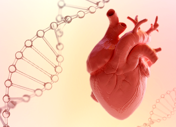 Vem aí primeiro perfil genético do brasileiro ligado ao infarto e AVC